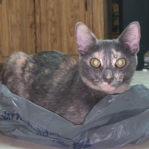 Meet your Posher, Kaylie